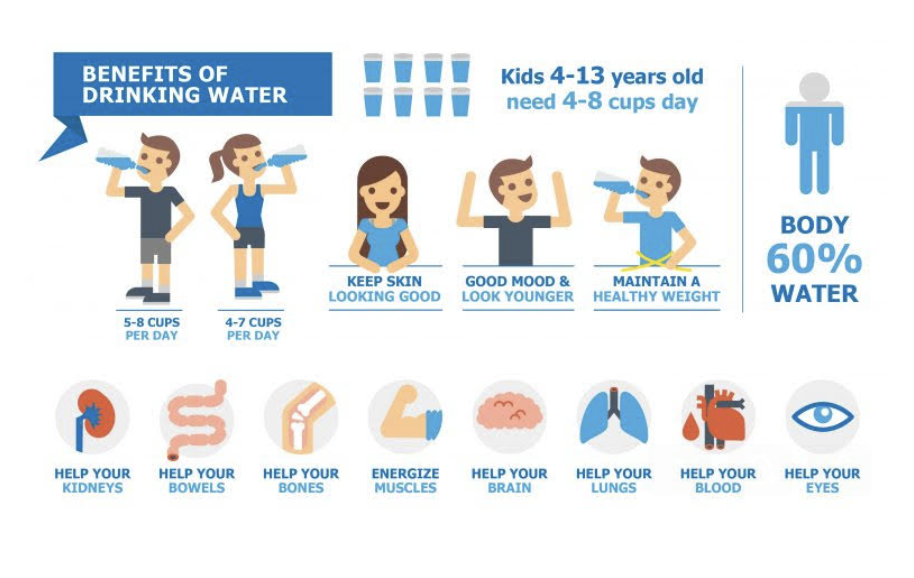 Water is the most important nutrient the body needs every day - Nodaway ...