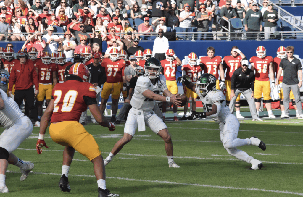 Bearcat football loses to Pitt State in Kansas City